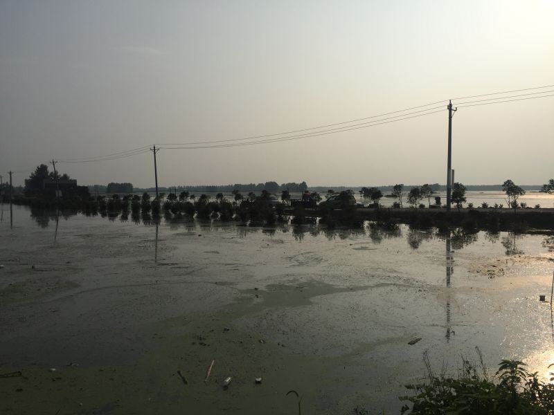 1468395969564371.jpg 1468395969564371.jpg