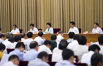全国卫生与健康大会在北京召开。中共中央政治局委员、国务院副总理刘延东在会上总结讲话.jpg