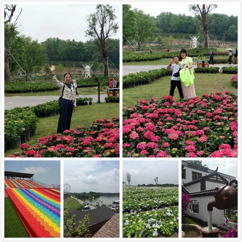 春游2.jpg