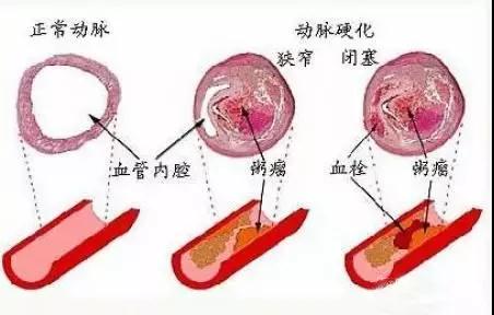 微信图片_20190702143626.jpg